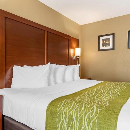 Comfort Inn Msp Airport - Mall Of America Bloomington Exteriér fotografie